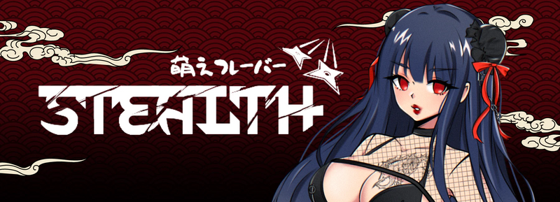 Stealth Ninja Lingerie & Cosplay Looks